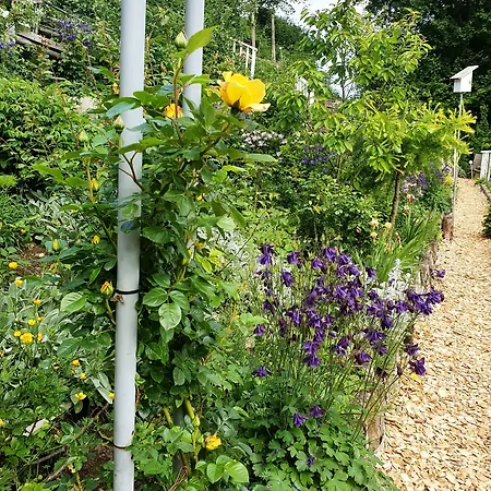 Black & White Feriehus