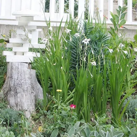 Black & White Feriehus Bromberg