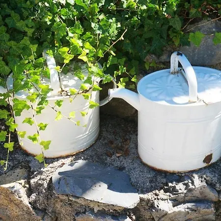 Black & White Feriehus