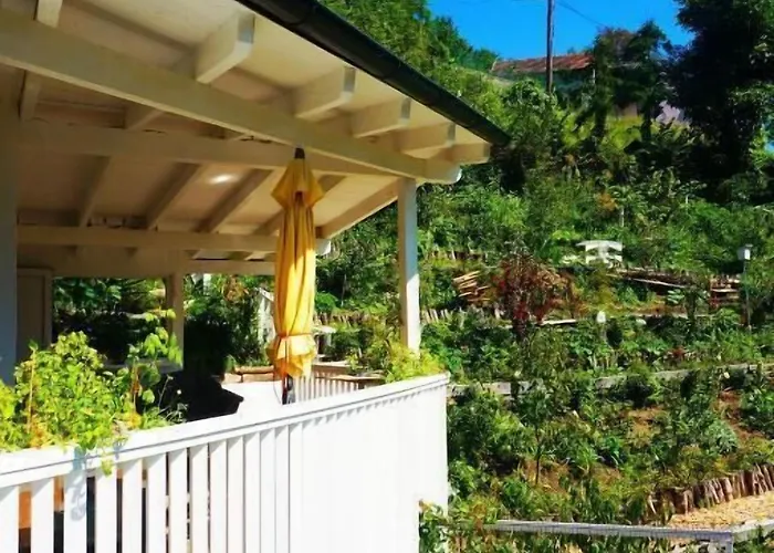 Black & White * Bromberg