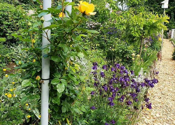 Black & White Сasa de vacaciones